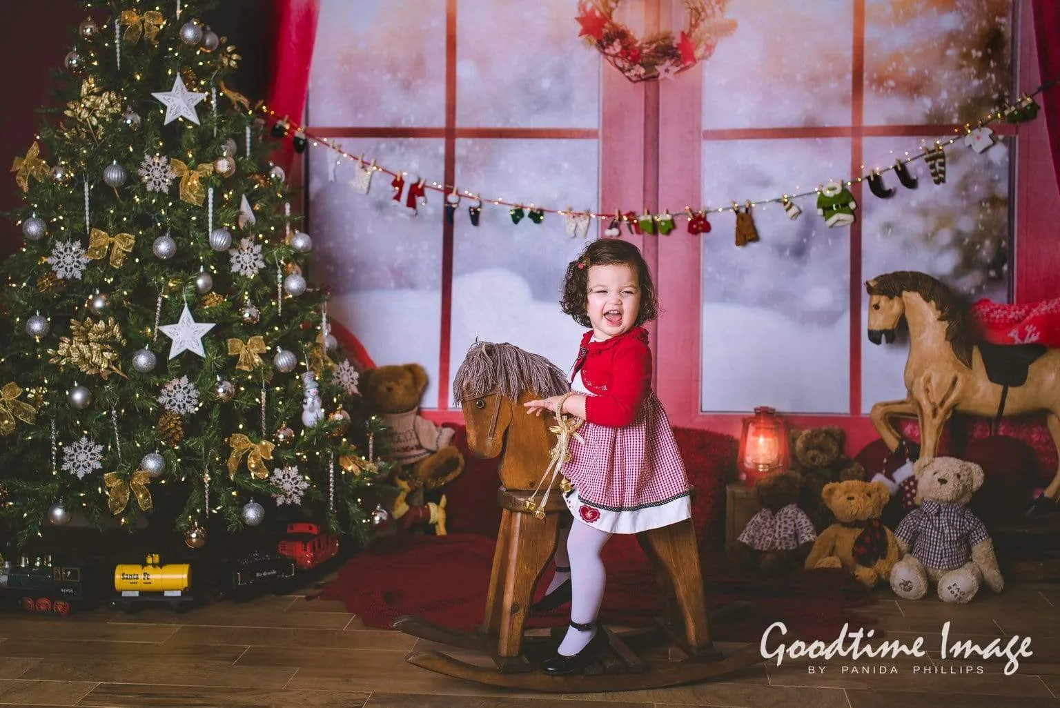 Kate Christmas Snow And Sunshine Outside Window Backdrops for Photography