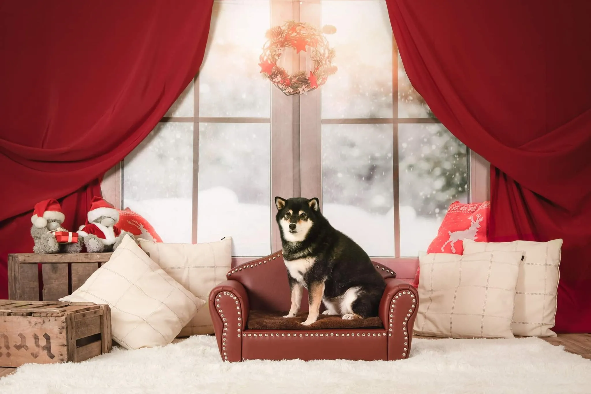 Kate Christmas Snow And Sunshine Outside Window Backdrops for Photography