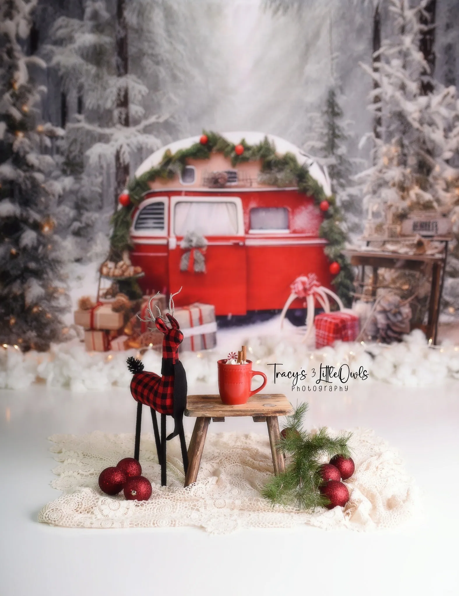 Kate Christmas Snow Forest Backdrop for Photography