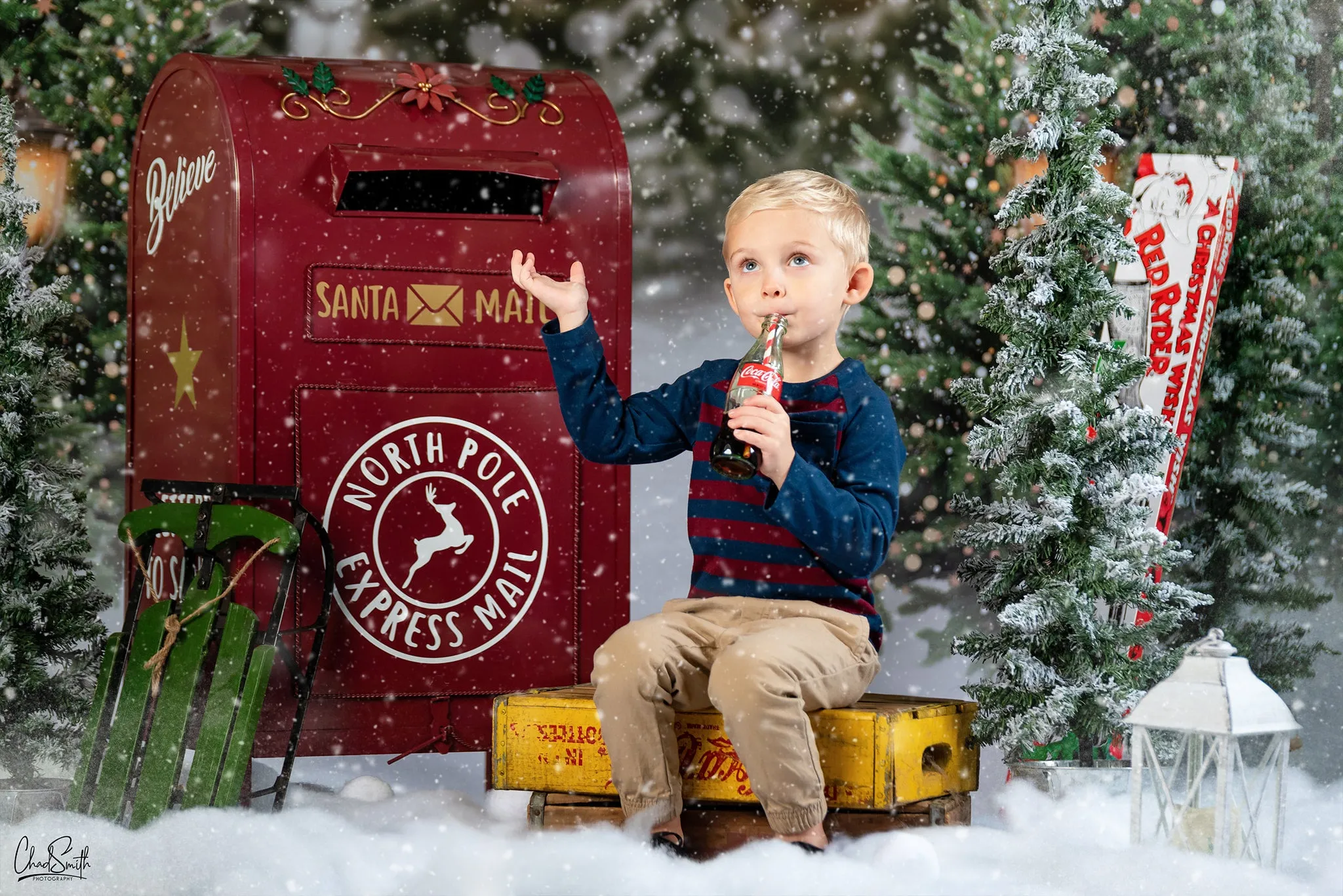 Kate Christmas Snow Forest Lights Backdrop for Photography