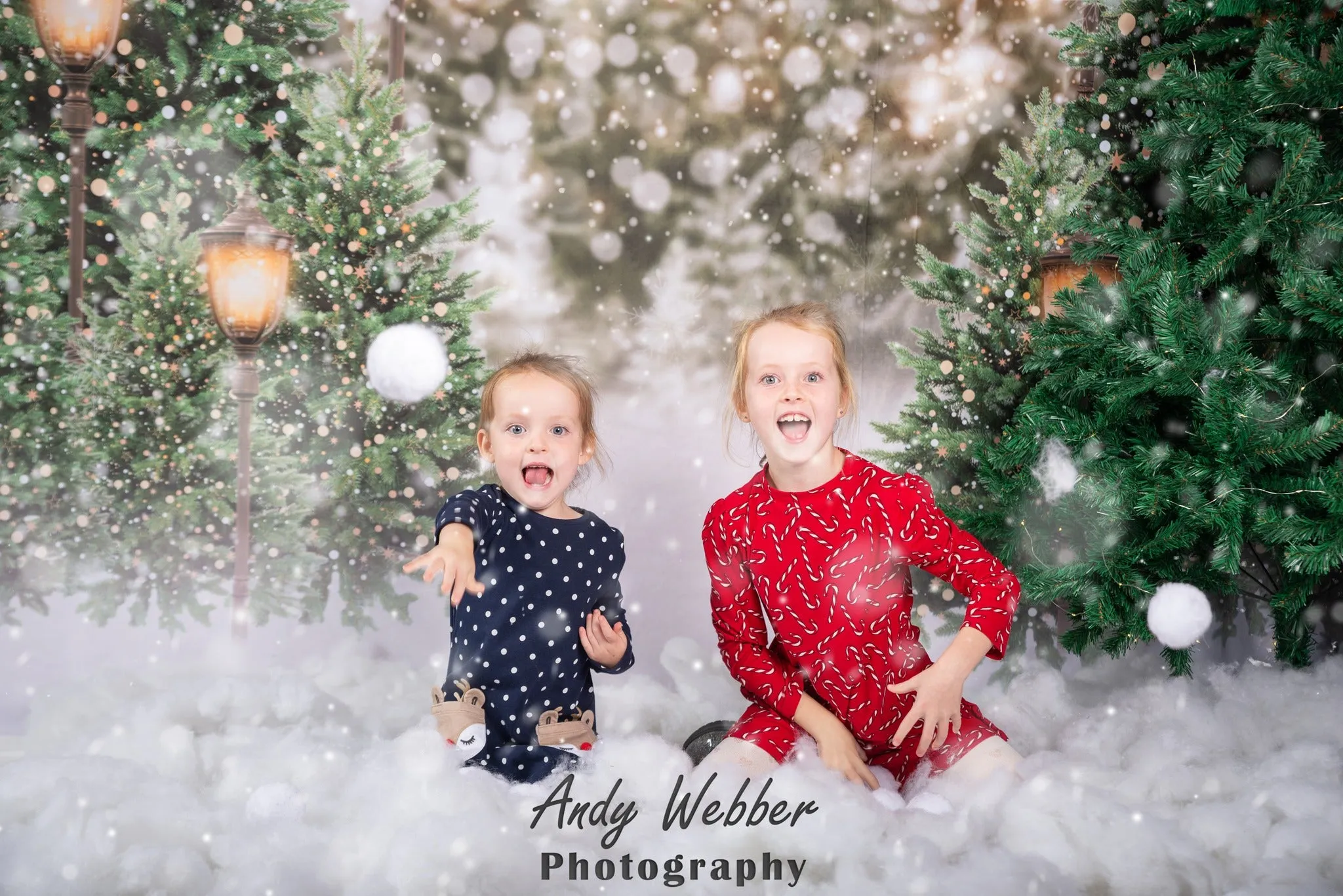 Kate Christmas Snow Forest Lights Backdrop for Photography