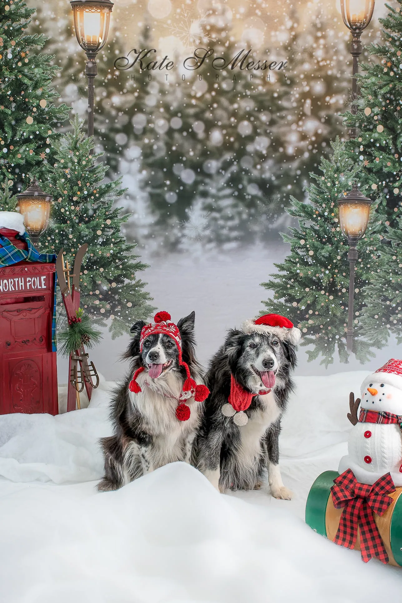 Kate Christmas Snow Forest Lights Backdrop for Photography