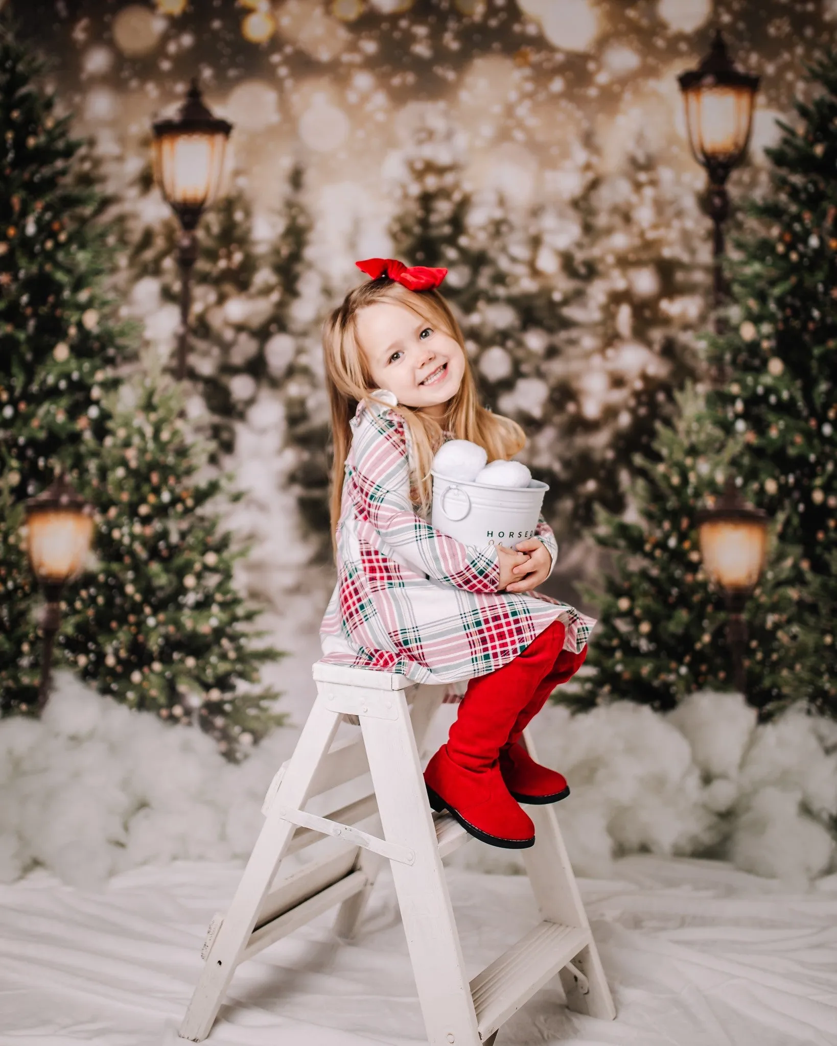 Kate Christmas Snow Forest Lights Backdrop for Photography
