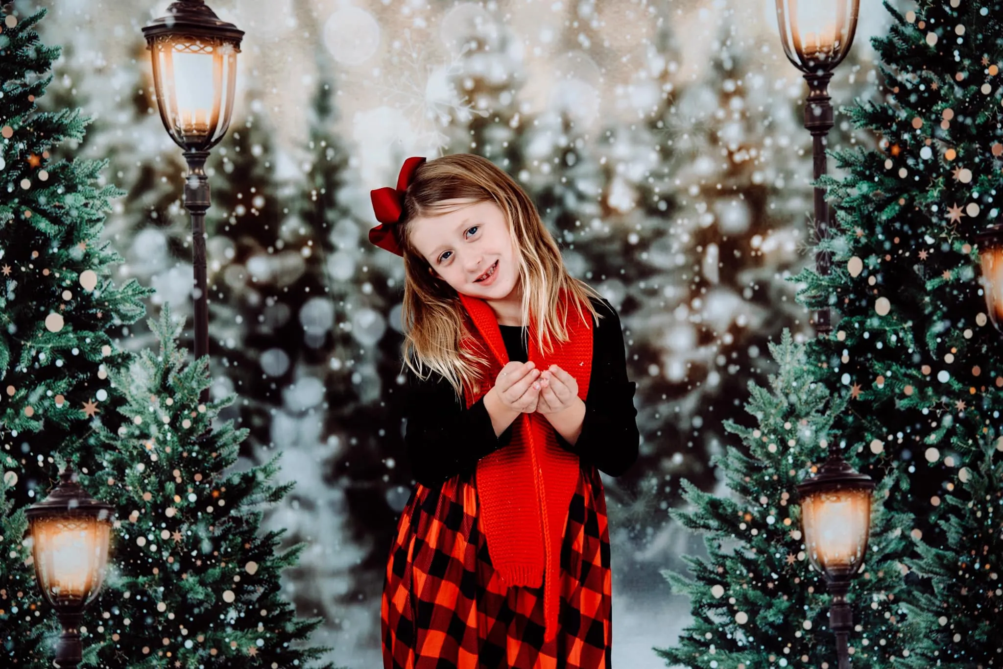 Kate Christmas Snow Forest Lights Backdrop for Photography