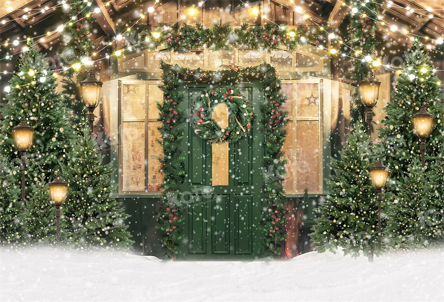 Kate Christmas Snow Green Door Tree Backdrop for Photography