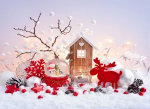 Kate Christmas Snow With Crystal Ball  Backdrop for Photography