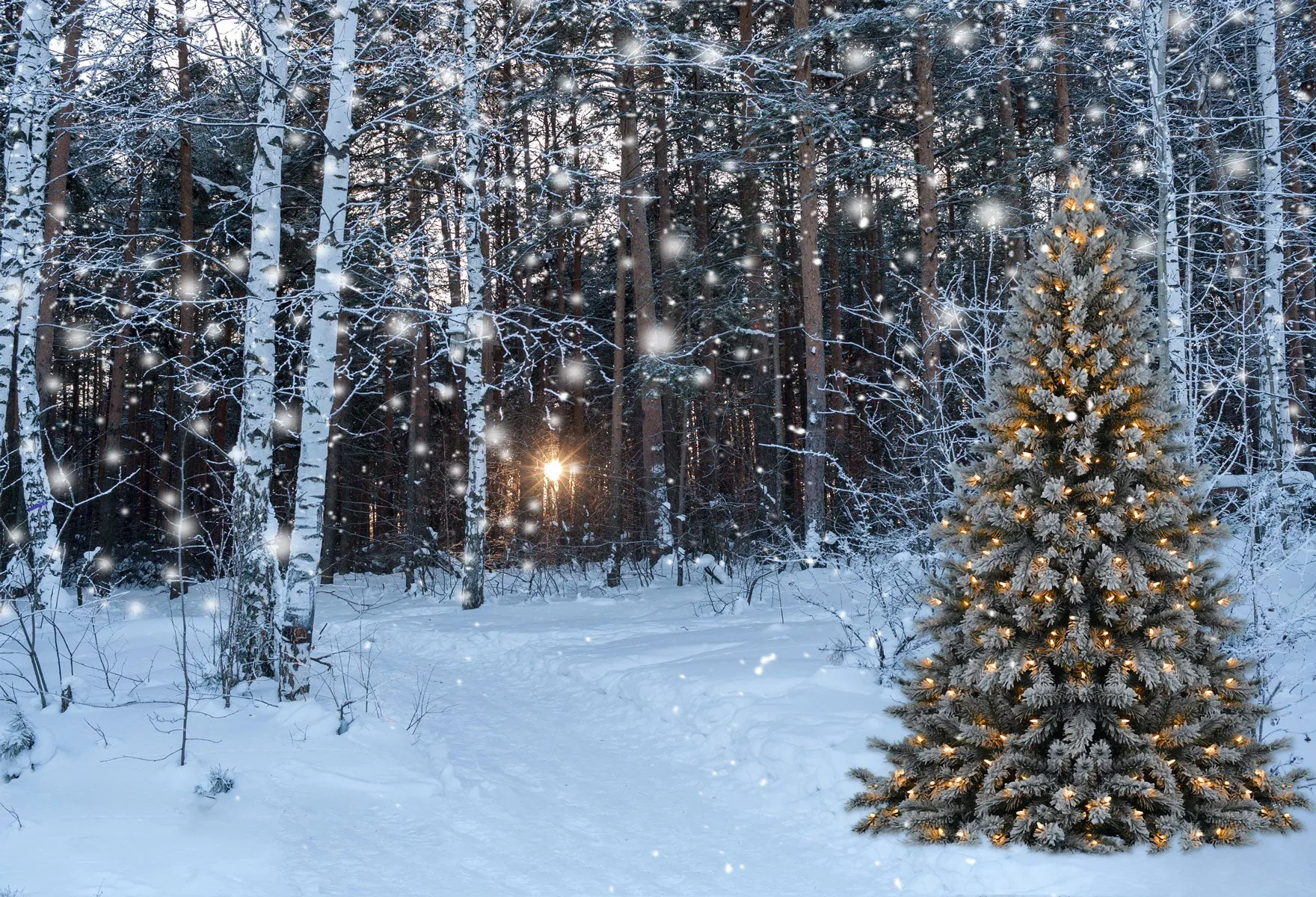 Kate Christmas Tree in snow Backdrops for Photography
