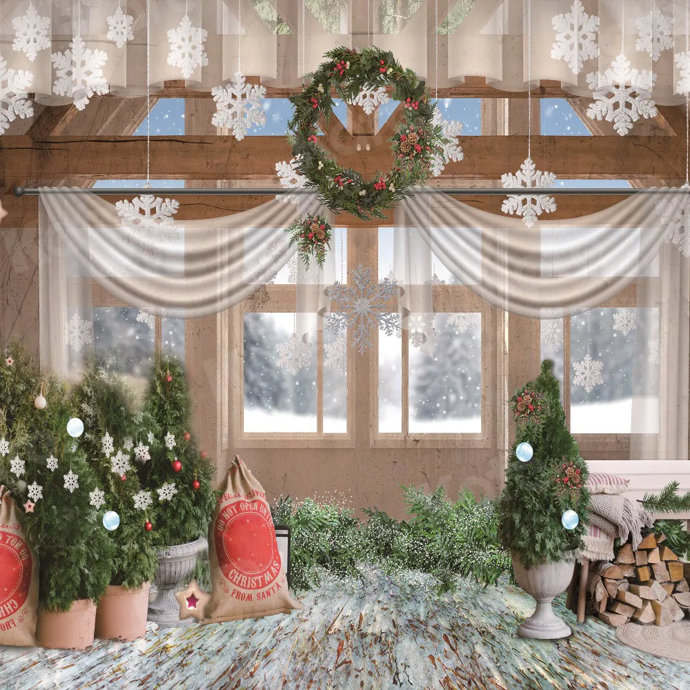Kate Christmas Window Snow Backdrop for Photography