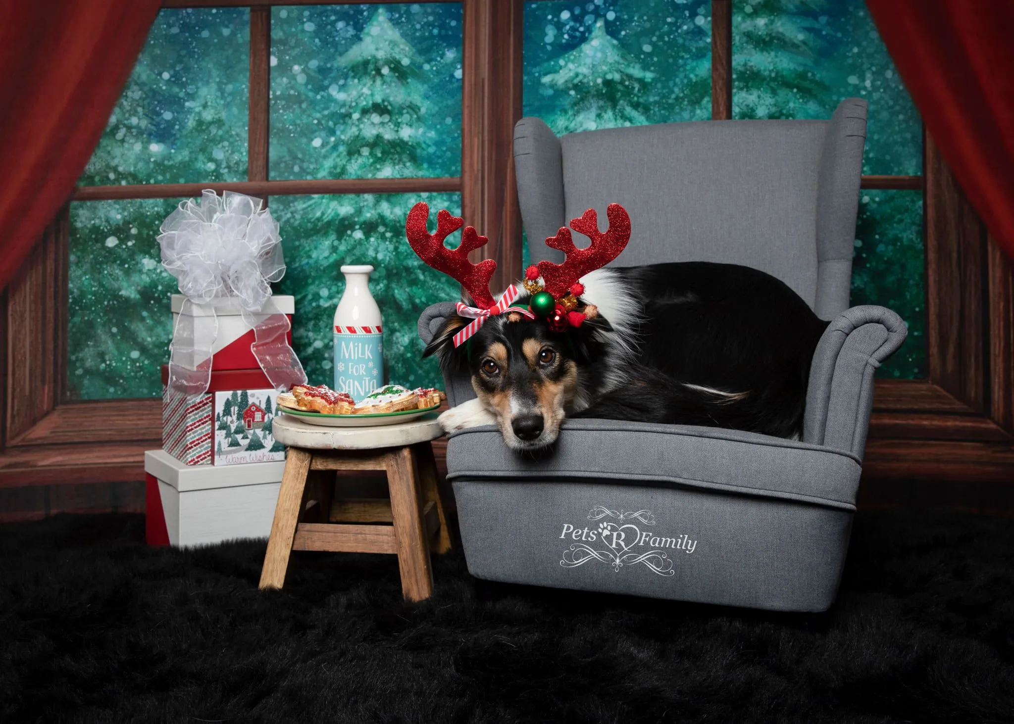 Kate Christmas Window Snow Night Backdrop Designed by Jia Chan Photography