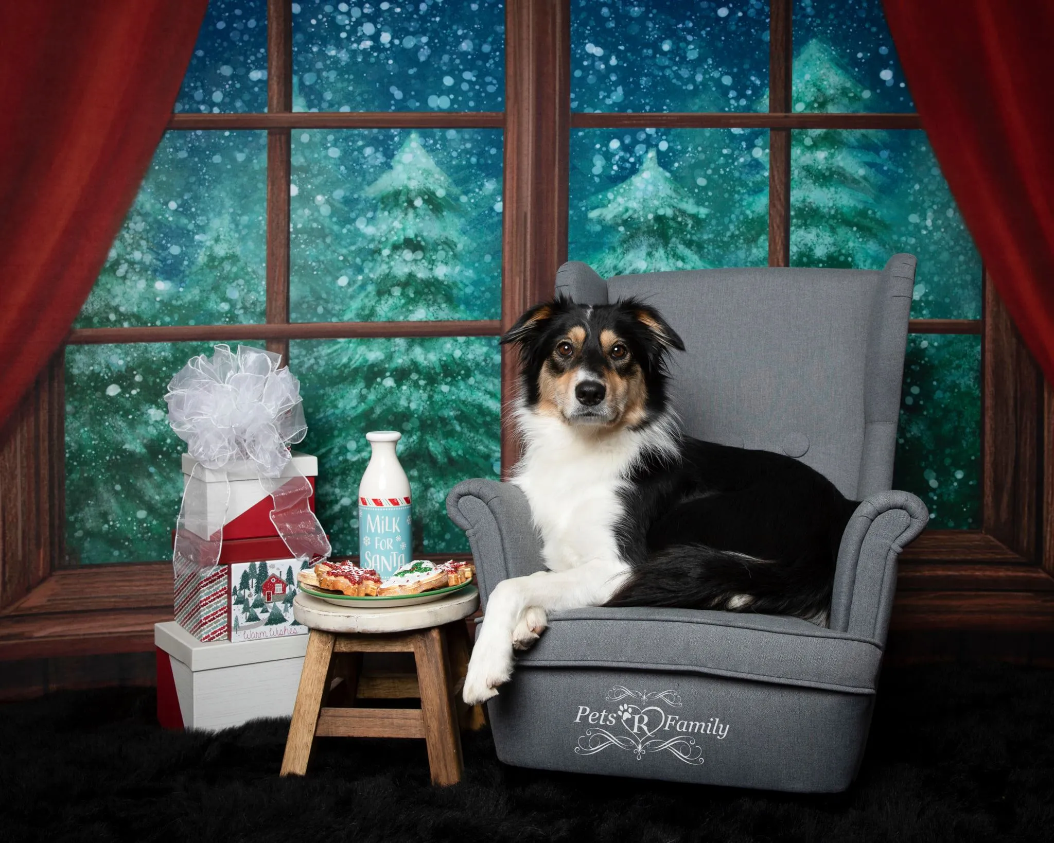 Kate Christmas Window Snow Night Backdrop Designed by Jia Chan Photography