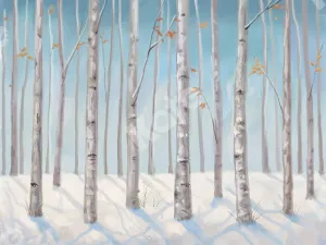 Kate Fine Art Backdrop Snow Forest Designed by GQ