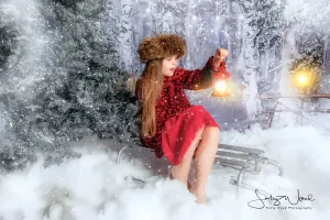 Kate Fine Art Backdrop Winter Snow Forest With Lights Designed by GQ