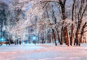 Kate Real Winter snow tree lights backdrop for Christmas