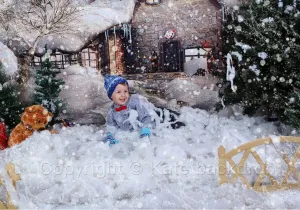 Kate Snow House Fairytale Backdrop Photography With Tree for Children