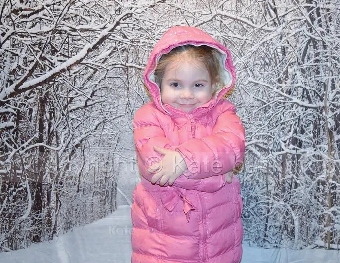 Kate Snow Winter Forest  Christmas Backdrop for Kids