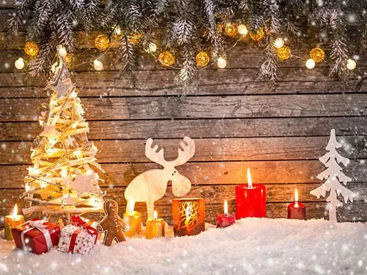 Kate Snow Wooden Wall Backdrop For Christmas Photography