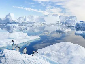Kate Snow World Arctic Glacier White and Blue Natural Backdrop