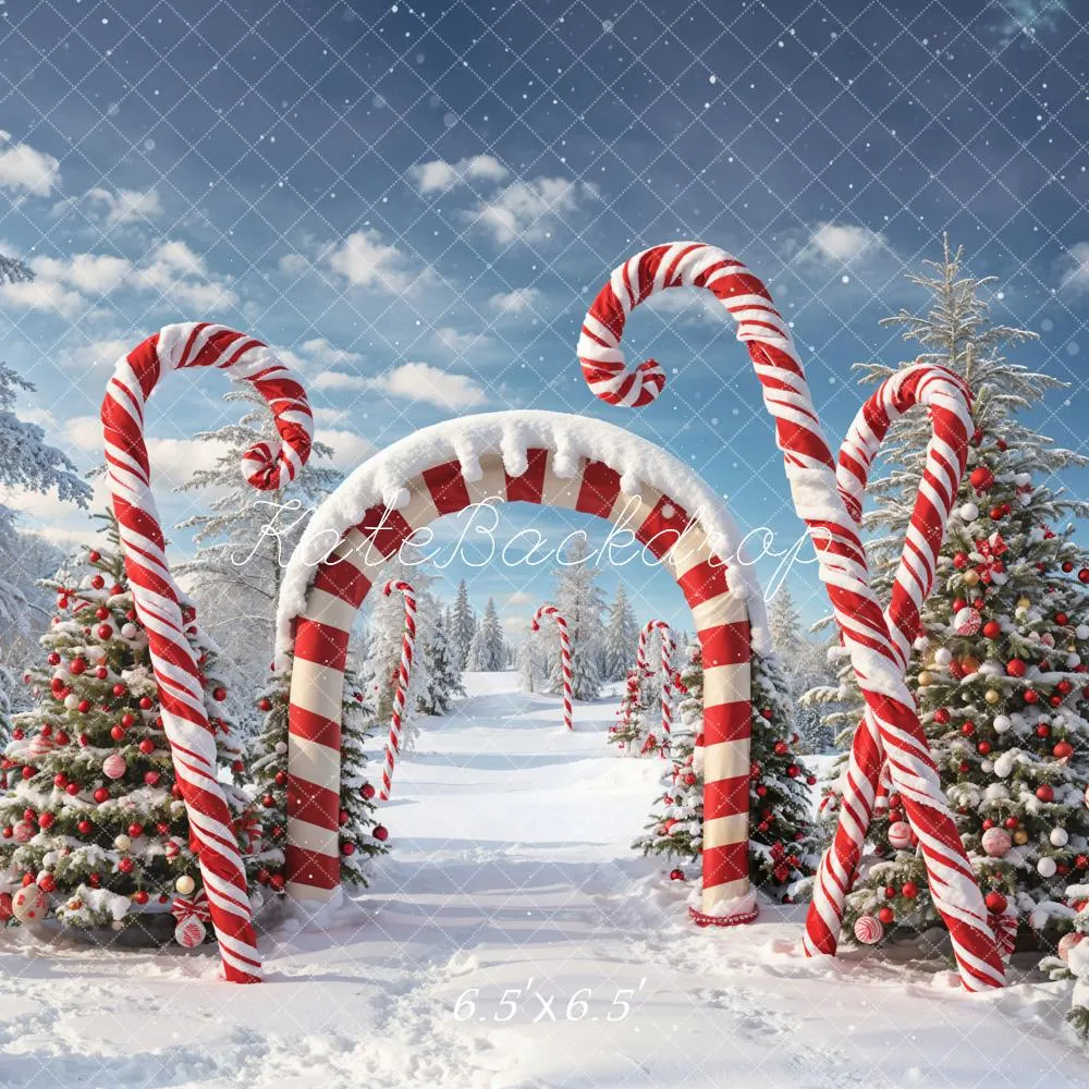 Kate Winter Christmas Forest Snow Candy Arch Backdrop Designed by Chain Photography