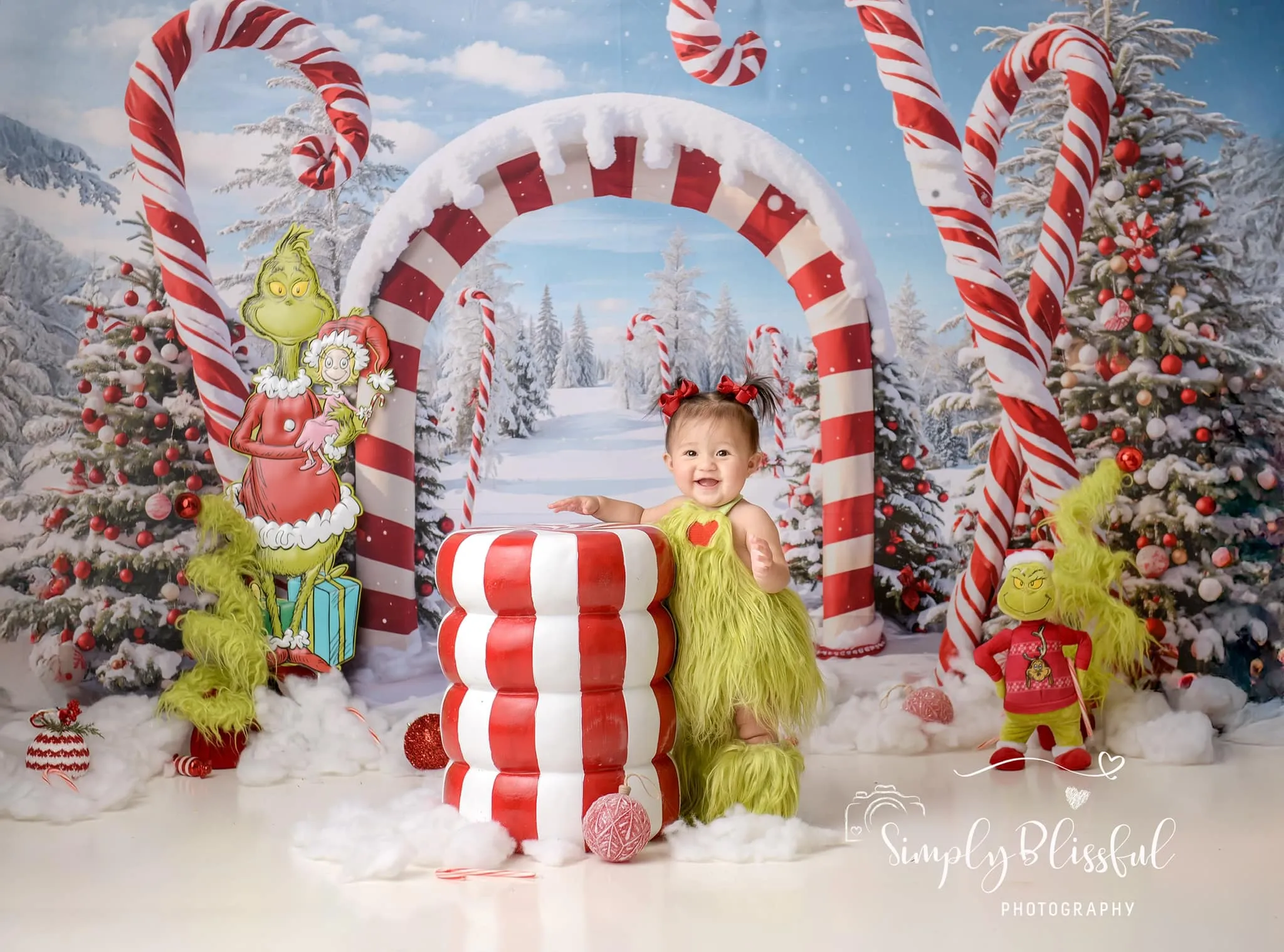 Kate Winter Christmas Forest Snow Candy Arch Backdrop Designed by Chain Photography