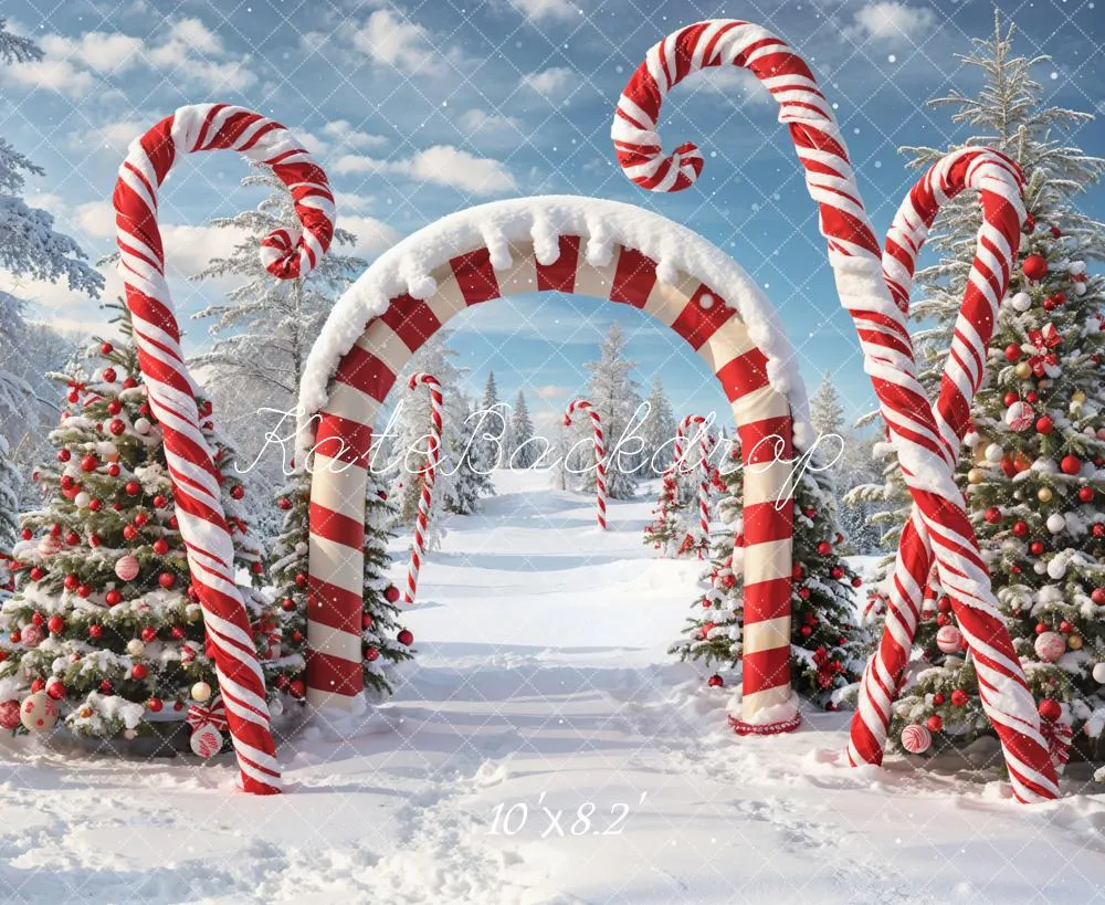 Kate Winter Christmas Forest Snow Candy Arch Backdrop Designed by Chain Photography