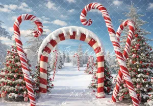 Kate Winter Christmas Forest Snow Candy Arch Backdrop Designed by Chain Photography