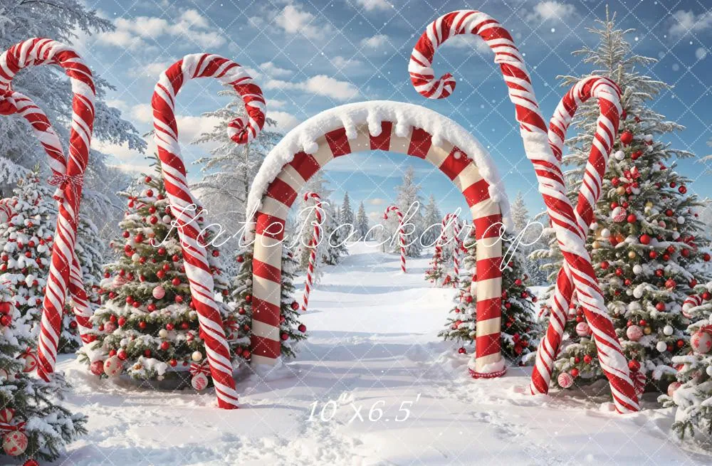 Kate Winter Christmas Forest Snow Candy Arch Backdrop Designed by Chain Photography