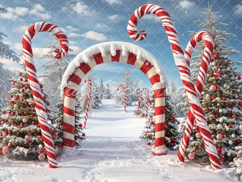 Kate Winter Christmas Forest Snow Candy Arch Backdrop Designed by Chain Photography