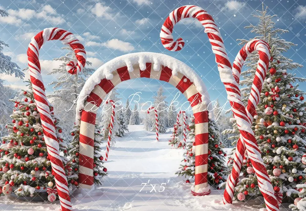 Kate Winter Christmas Forest Snow Candy Arch Backdrop Designed by Chain Photography
