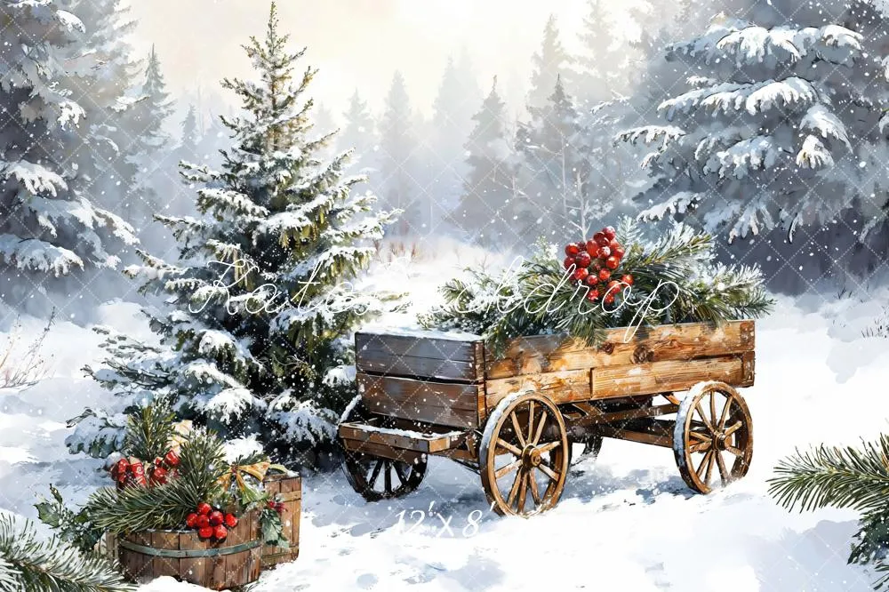 Kate Winter Christmas Snow Carriages Backdrop Designed by Emetselch