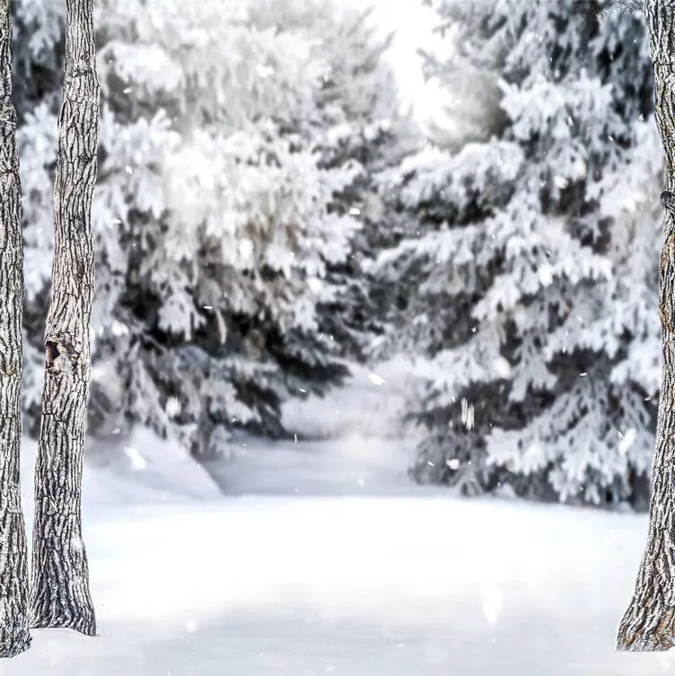 Kate Winter Forest Snow Backdrop Designed by Arica Kirby