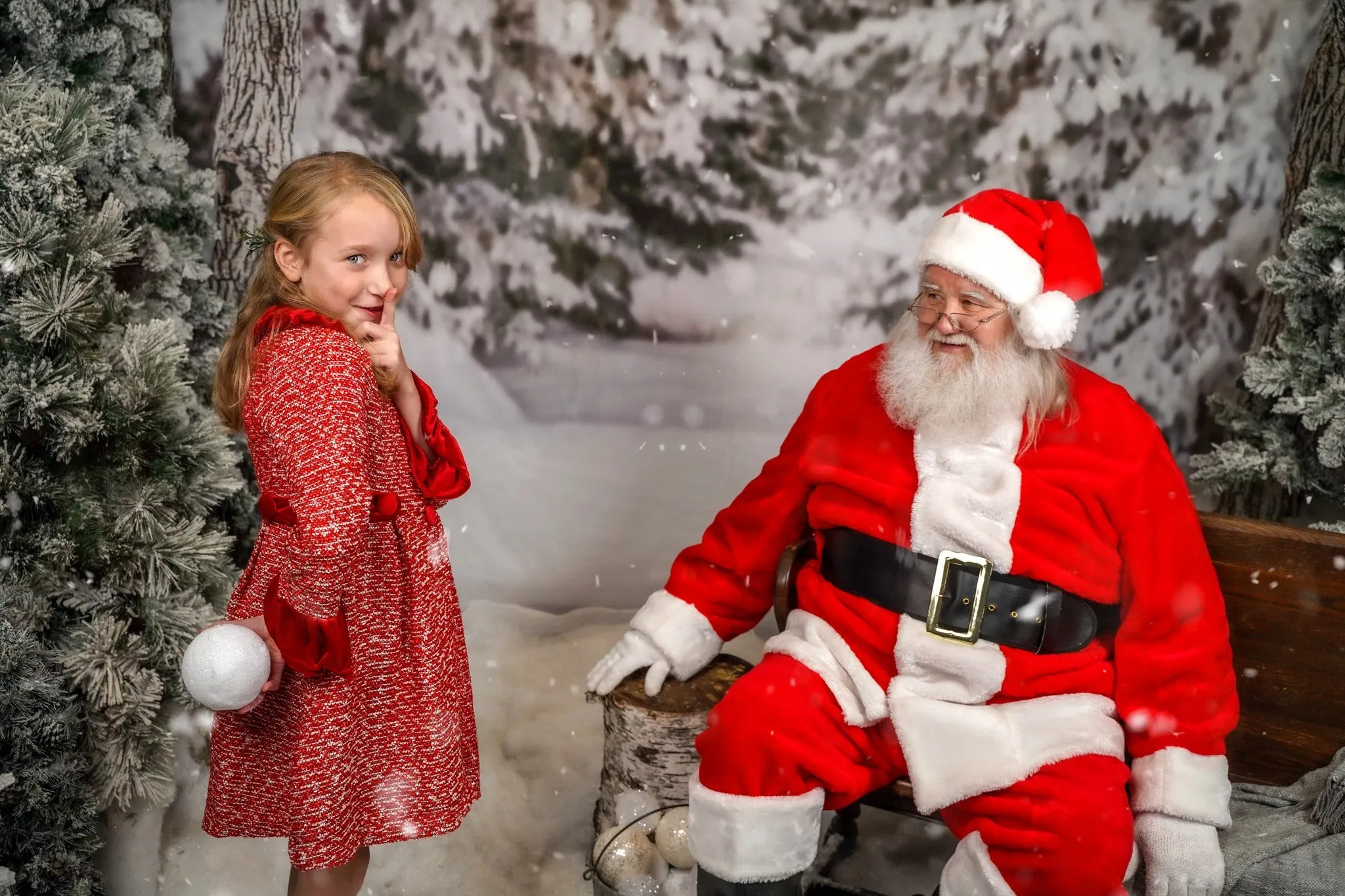Kate Winter Forest Snow Backdrop Designed by Arica Kirby
