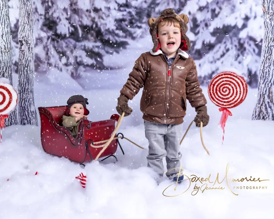 Kate Winter Forest Snow Backdrop Designed by Arica Kirby