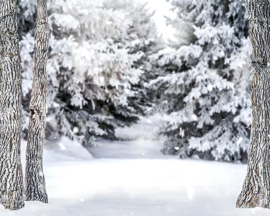 Kate Winter Forest Snow Backdrop Designed by Arica Kirby