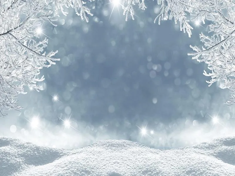 Kate Winter Snow Photography Studio Backdrop Frozen World