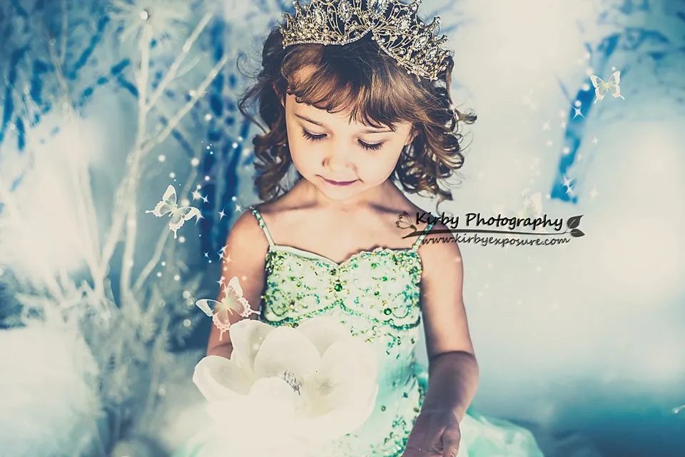 Kate Winter Snow Plum Orchard Backdrop Designed By Arica Kirby