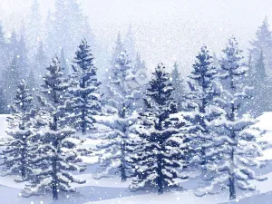Kate Winter/xmas Backdrop Snow Forest Designed by GQ