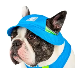 New Canada Pooch Chill Seeker Blue Cooling Hat for your small dogs Sz L Retails $25 