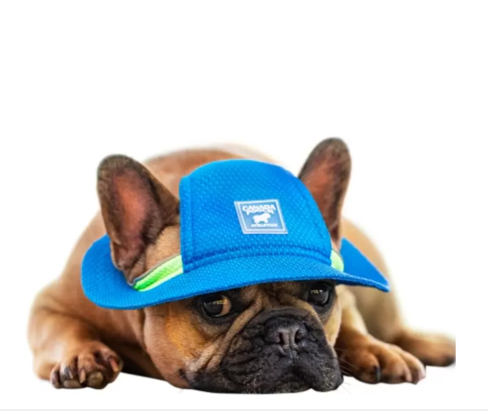 New Canada Pooch Chill Seeker Blue Cooling Hat for your small dogs Sz L Retails $25 