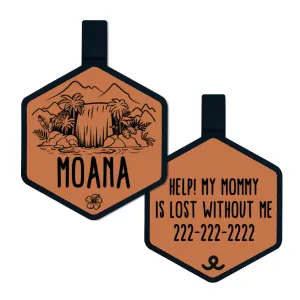 Paradise Falls Silicone ID Tag
