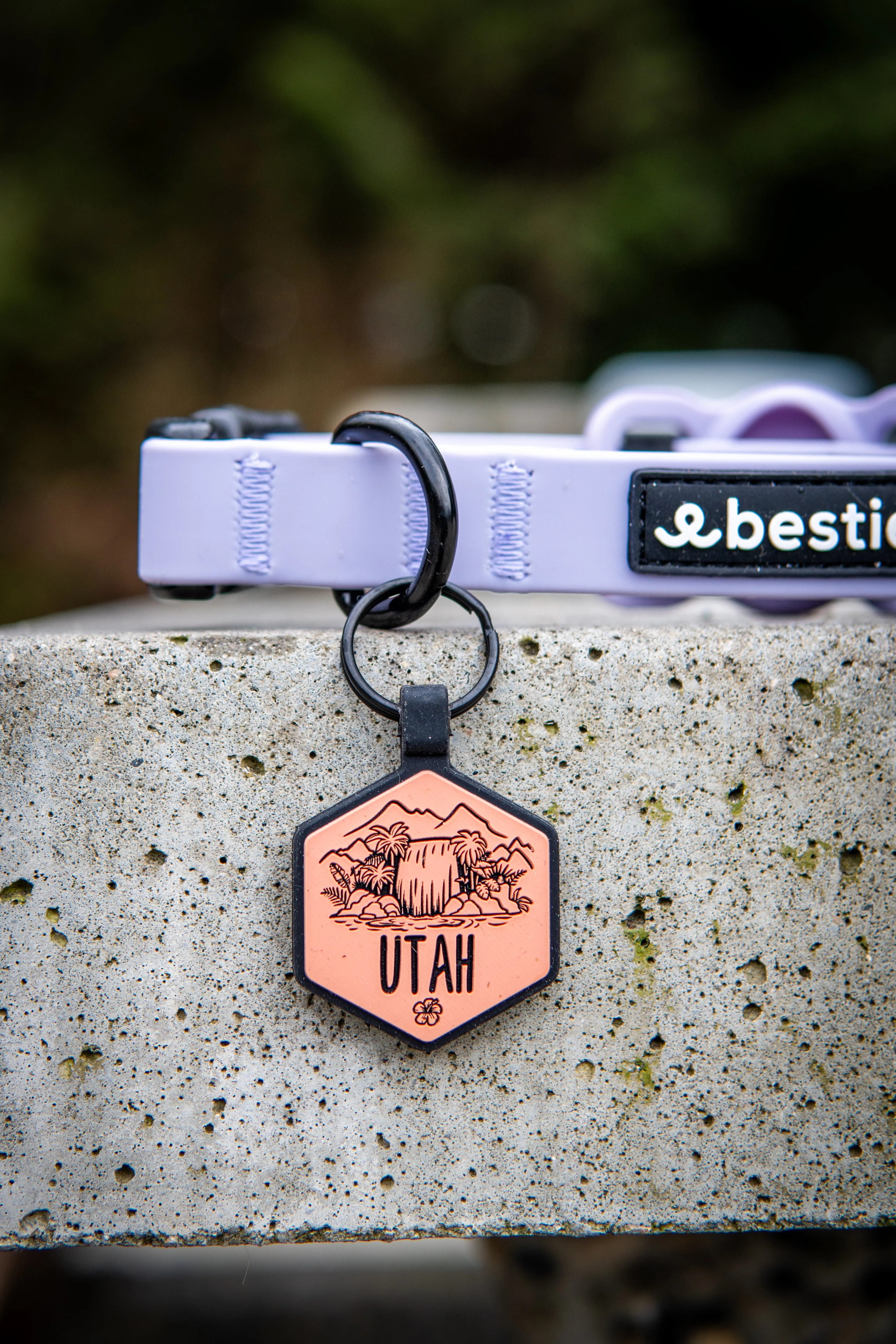Paradise Falls Silicone ID Tag