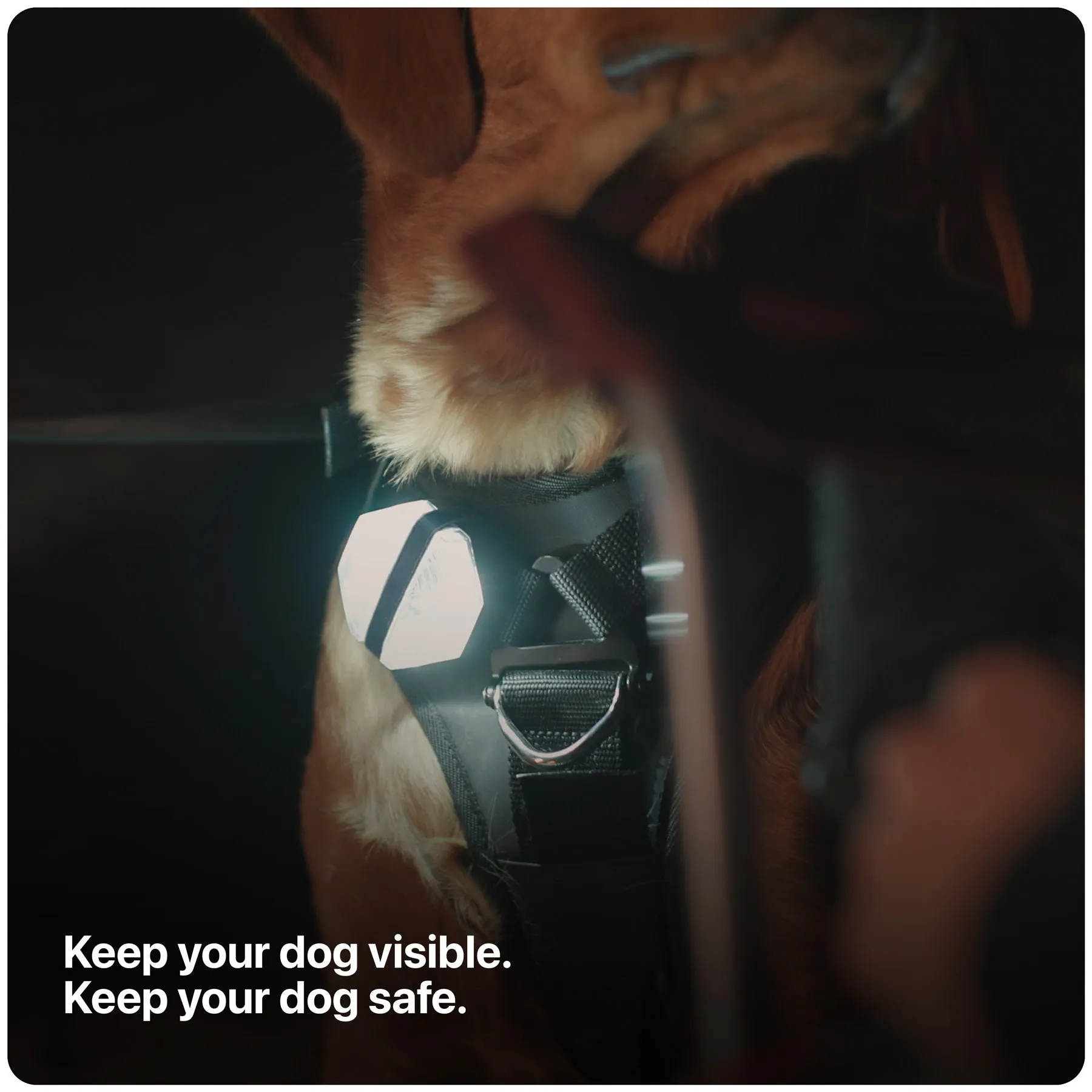 PitchBlack® Safety Light 2.0