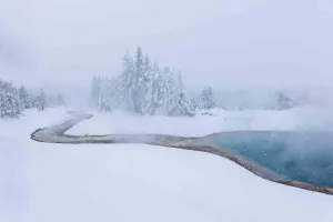 Snow Globe