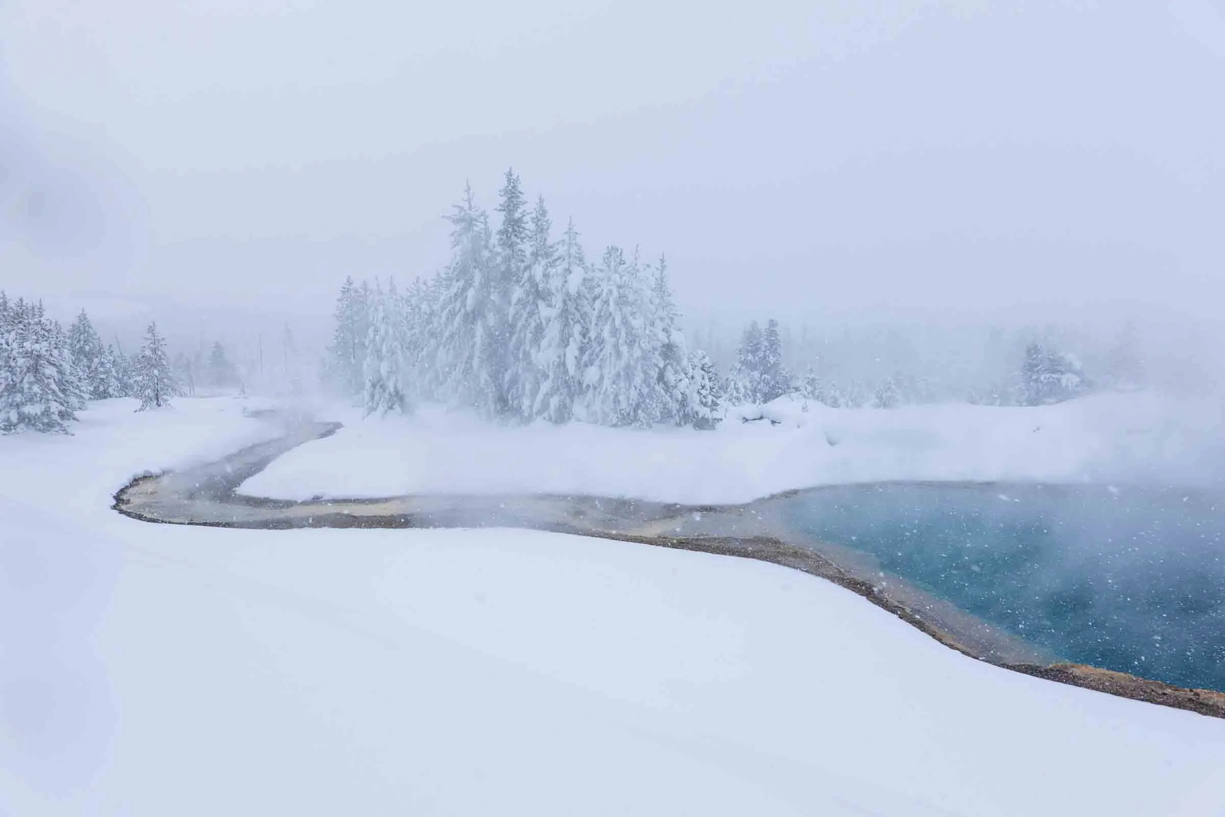 Snow Globe