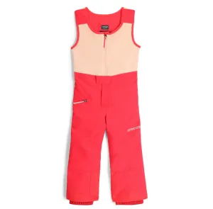 Spyder Expedition Snow Pant