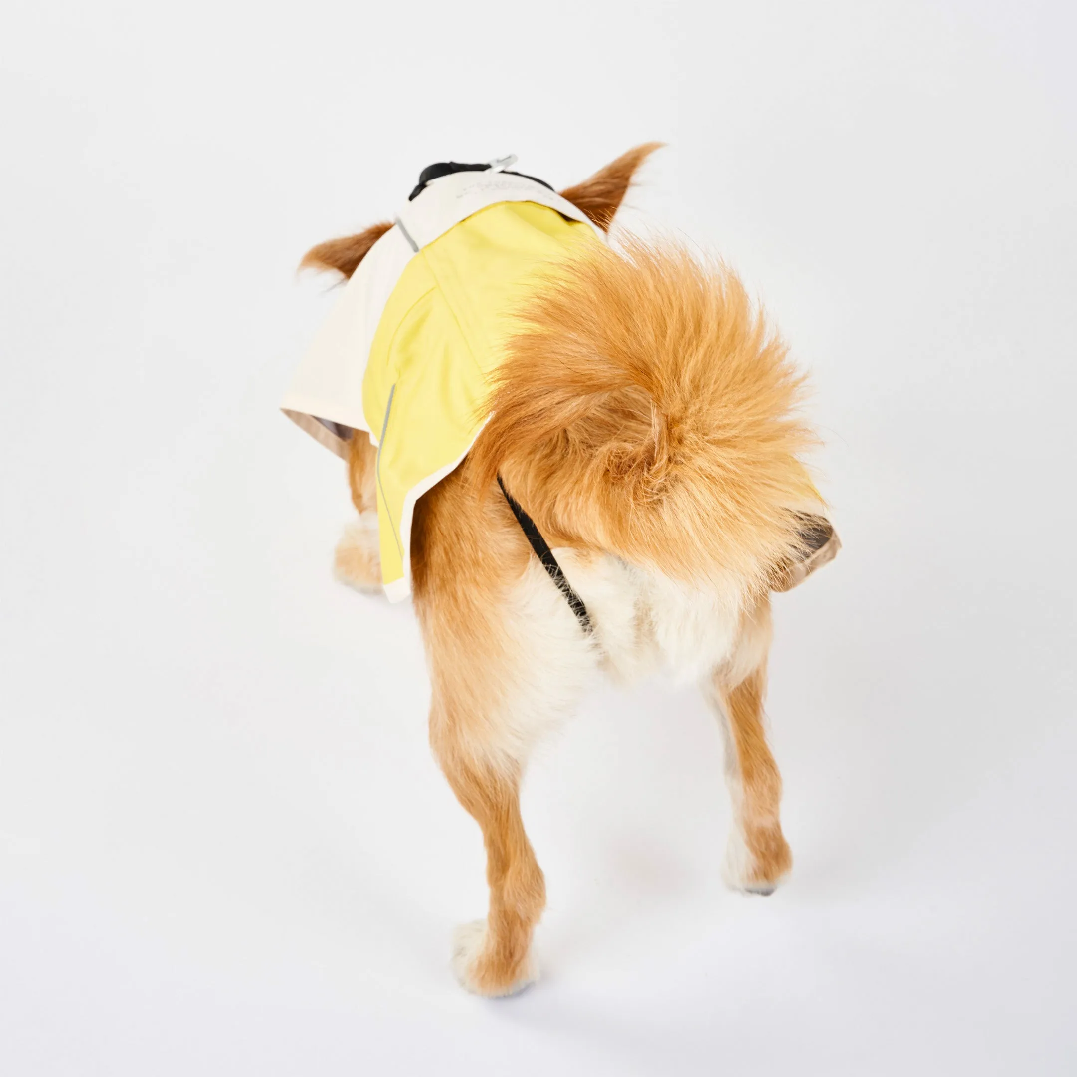 Venture Rain Jacket
