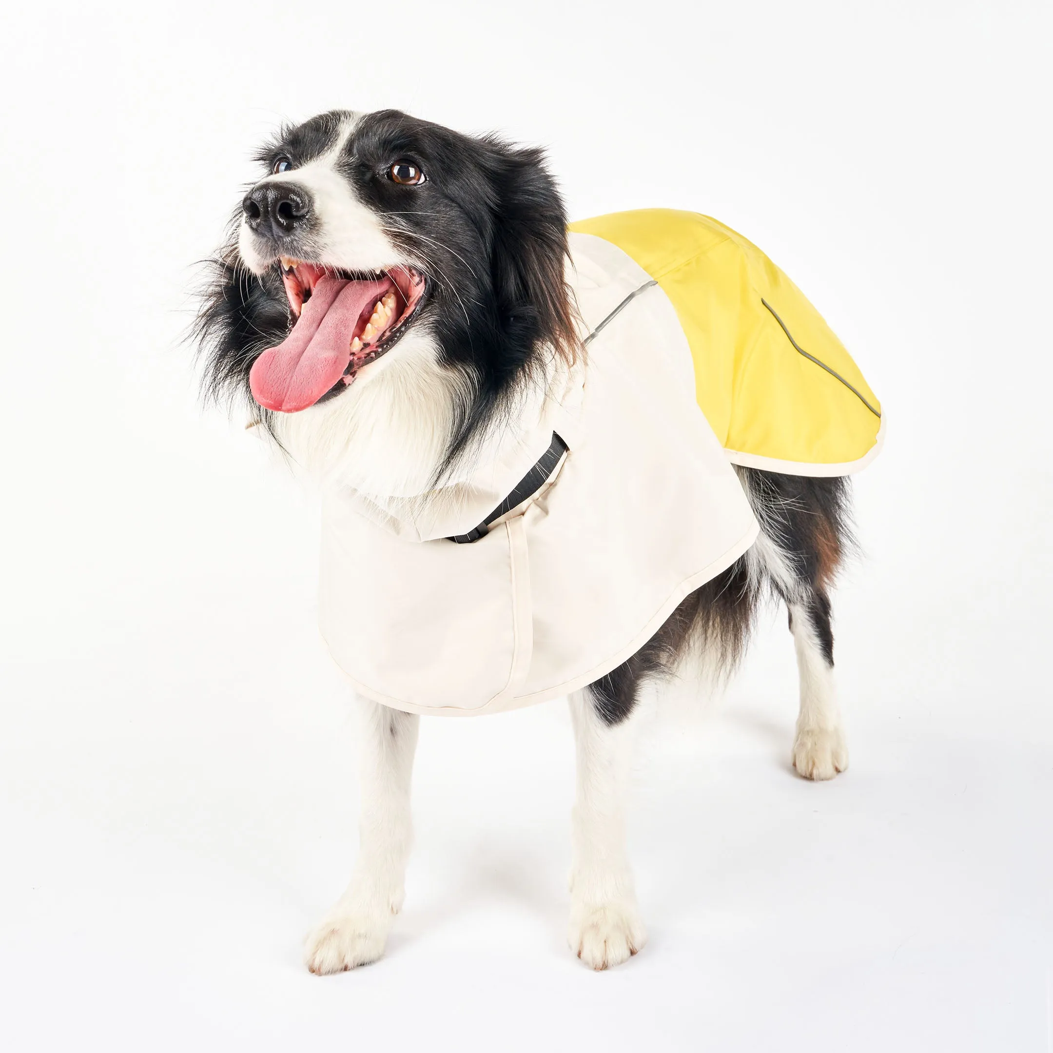 Venture Rain Jacket