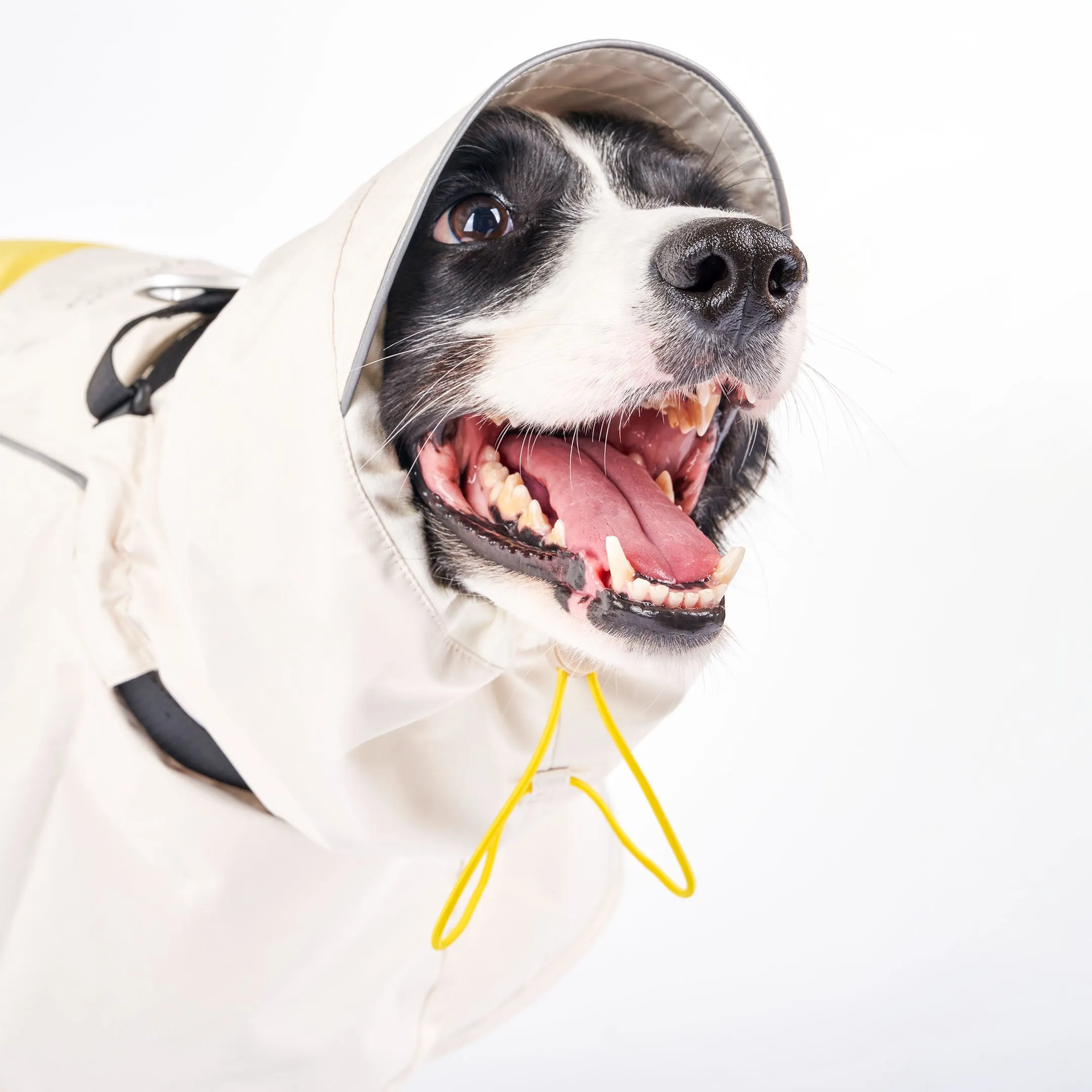 Venture Rain Jacket