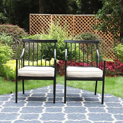 Wayfair Item! PHI VILLA 2-Piece Stylish Steel Patio Outdoor Dining Chairs Set - Retails $320US 