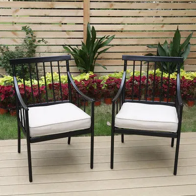 Wayfair Item! PHI VILLA 2-Piece Stylish Steel Patio Outdoor Dining Chairs Set - Retails $320US 