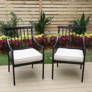 Wayfair Item! PHI VILLA 2-Piece Stylish Steel Patio Outdoor Dining Chairs Set - Retails $320US 